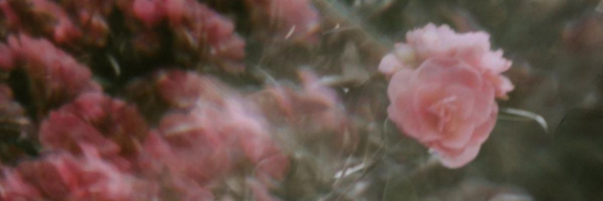 coolermood's profile banner image