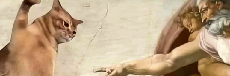 marchelo banner