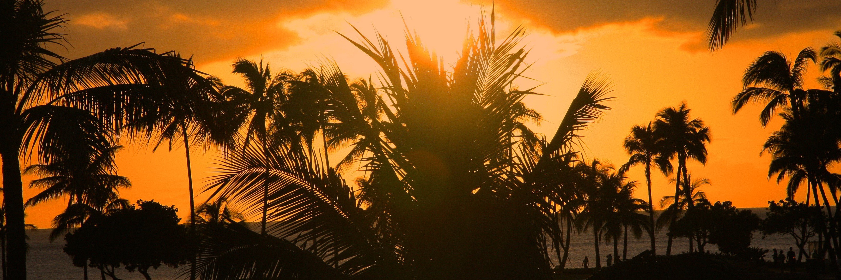 rftv's profile banner image