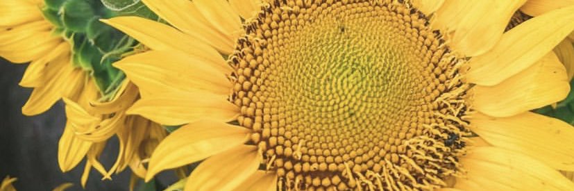 AstriListiani's profile banner image