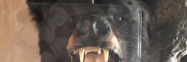 SabishMiddle Profile Banner