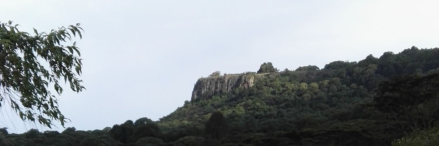 Cheluita banner