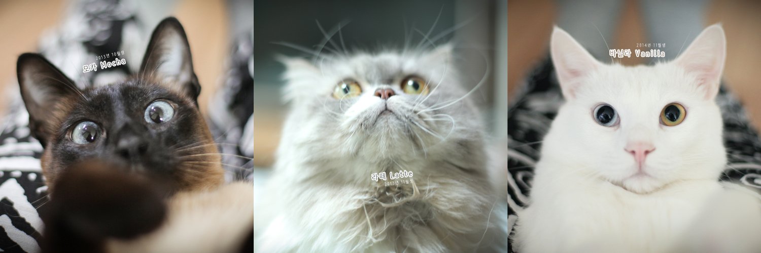 나구나구굿 banner