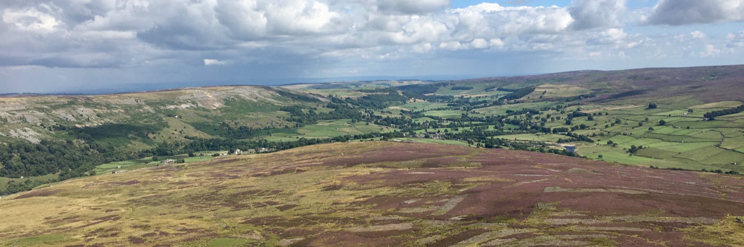 Mark Holmes banner