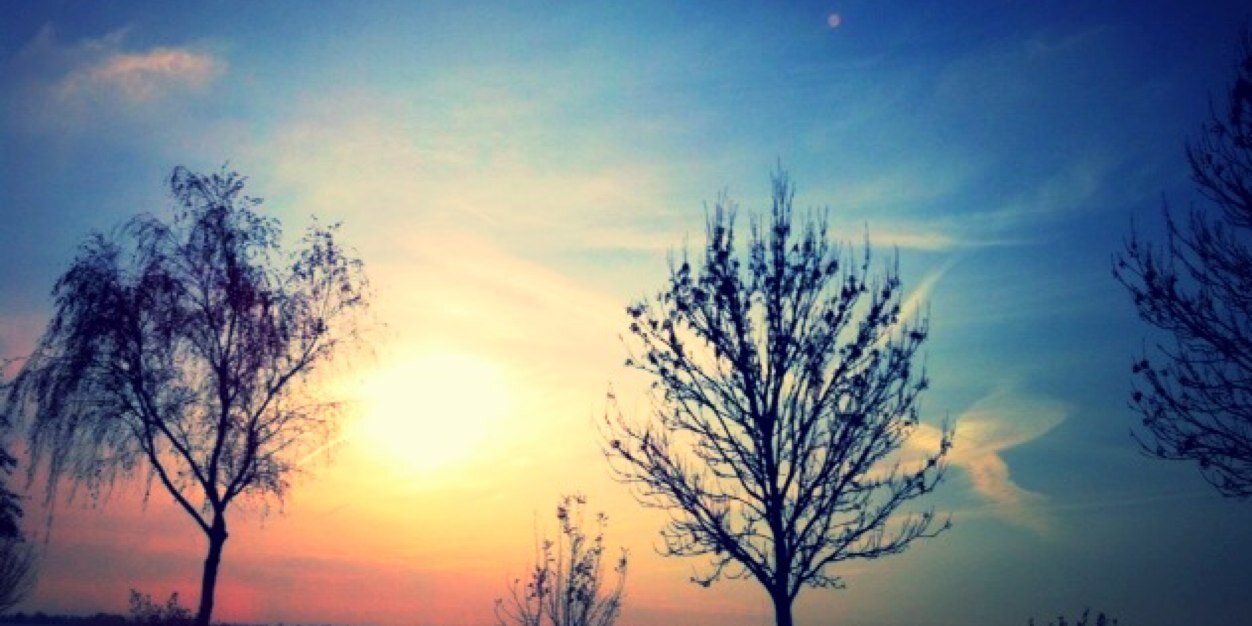 Saymaa's profile banner image