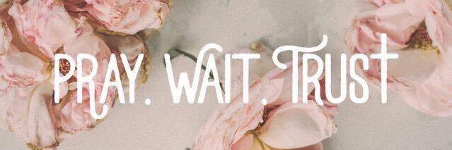 Julie Higgins banner