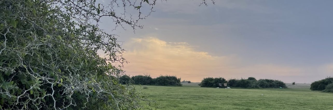 s_qtr_7's profile banner image