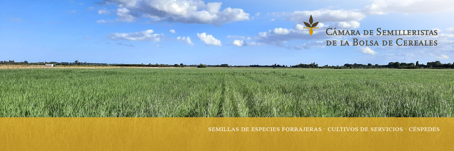 Cámara de Semilleristas de la Bolsa de Cereales banner