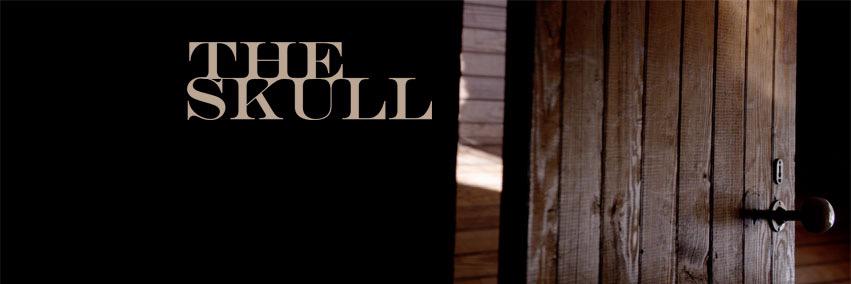 TheSkullFilm's profile banner image