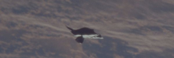 All2See's profile banner image