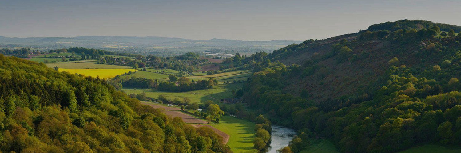 CGT Lettings & Sales banner