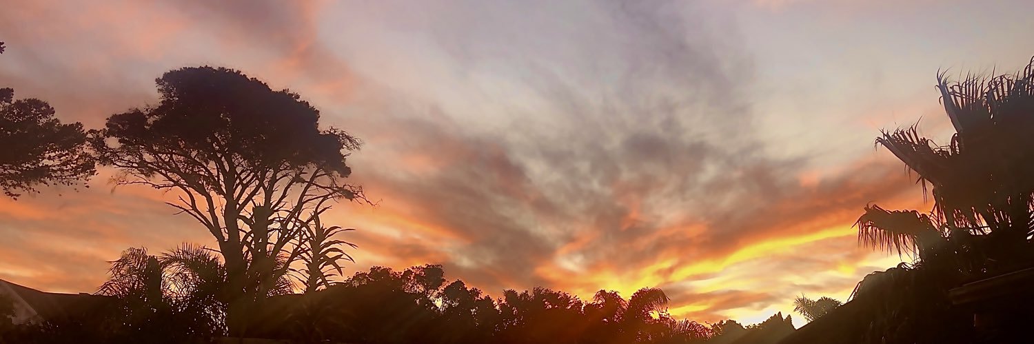 unknownqueerboi's profile banner image