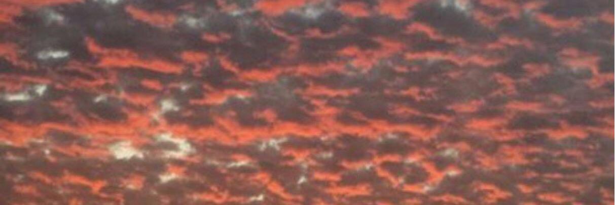 rsaruhan's profile banner image