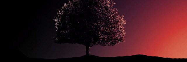 ahmet_murt's profile banner image