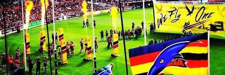 Elvis Tessari banner