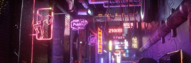 amber🐬 banner