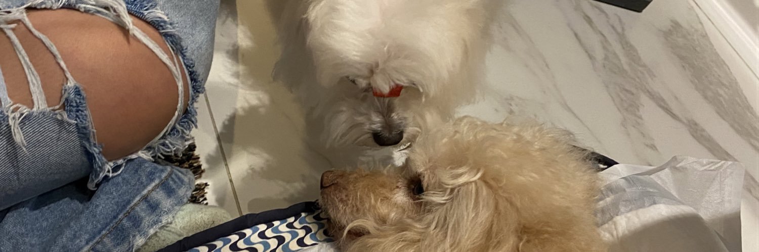 niydiaas's profile banner image