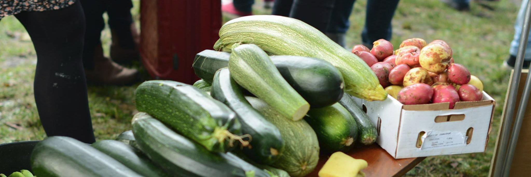 Food Sharing Edinburgh banner