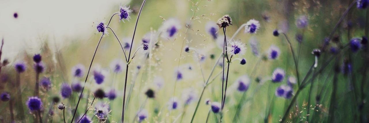 GRNNGRASS's profile banner image