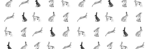 TrixAndCurl Profile Banner