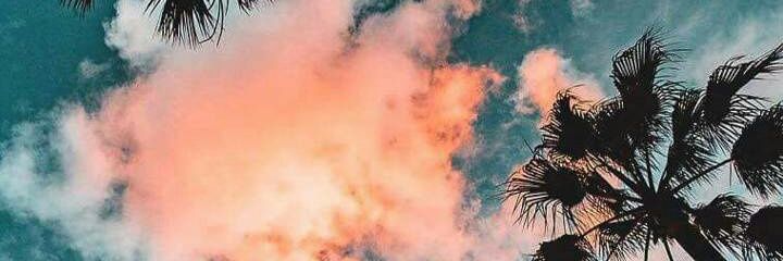 whoisangulo's profile banner image