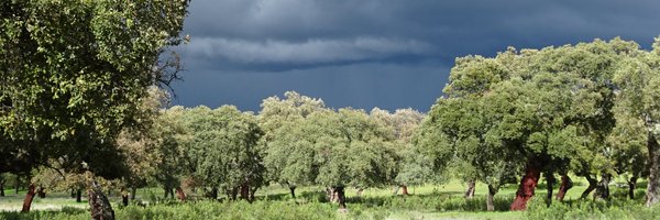 AleMoranOrdonez Profile Banner