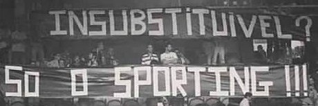 Alexia Cianeto banner