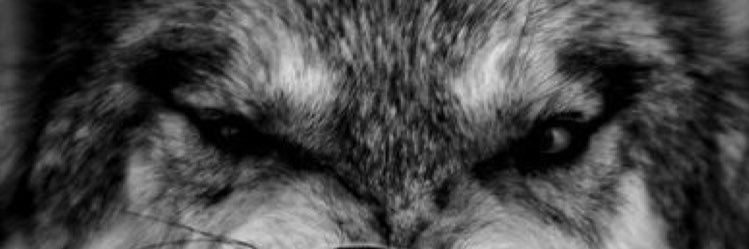 quintavila's profile banner image
