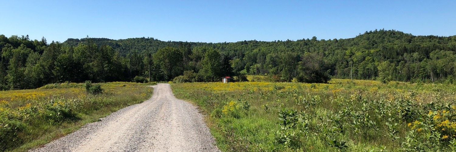 🇨🇦 Send Hoekstra Packing 🇨🇦 banner