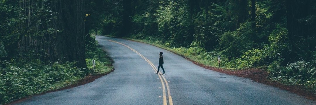 smnini_'s profile banner image