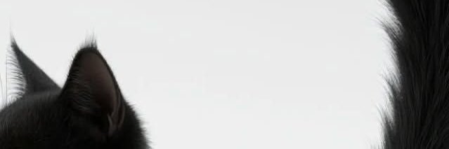 blackdont__'s profile banner image