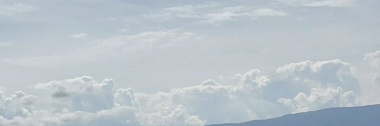 Carley_bowling's profile banner image