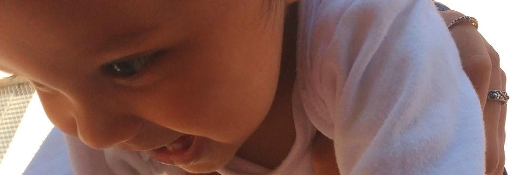danibitinha's profile banner image