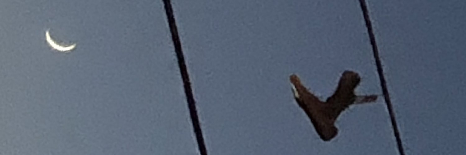 king_crone's profile banner image
