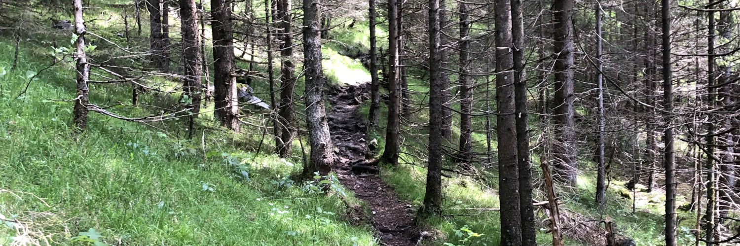 MrsEichhörnchen 🇵🇱🇮🇱🇩🇪 banner