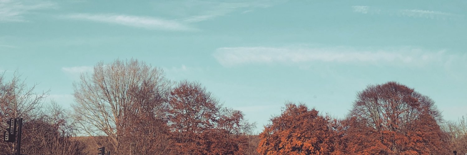 BethanySanger's profile banner image