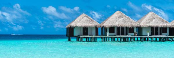 ViajaconElia Profile Banner