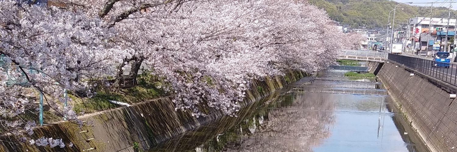 drwwc962's profile banner image