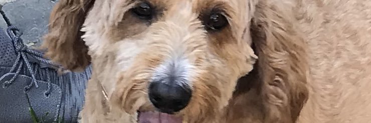 sueandbusta's profile banner image