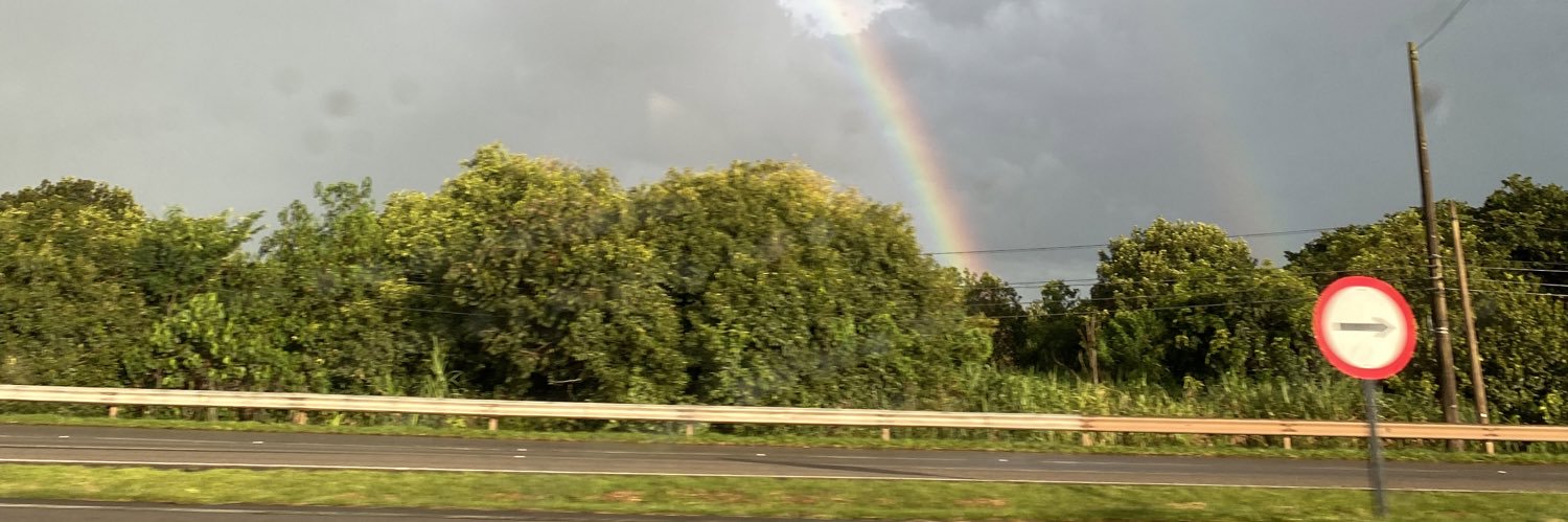 lescarassati's profile banner image
