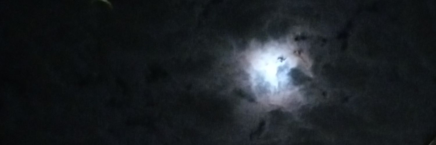 Jani(ce) banner