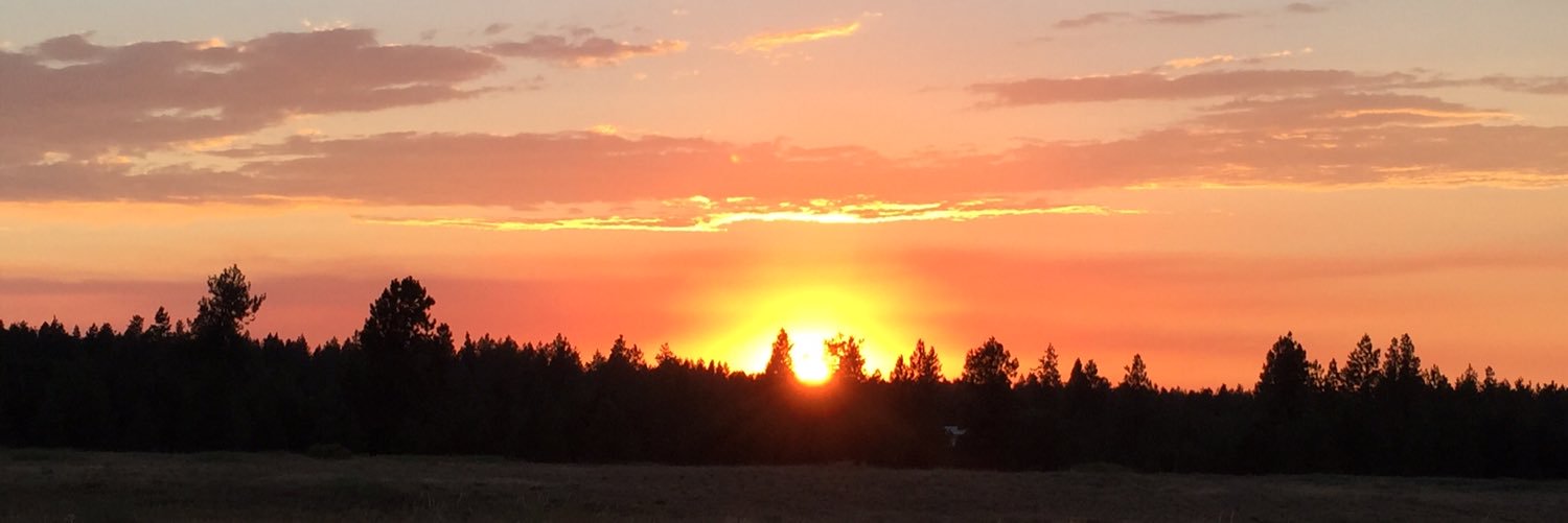 Like_Spinning_Plates banner