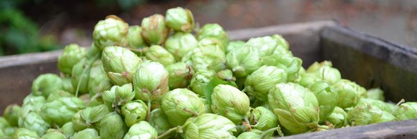 HopsVines Profile Banner