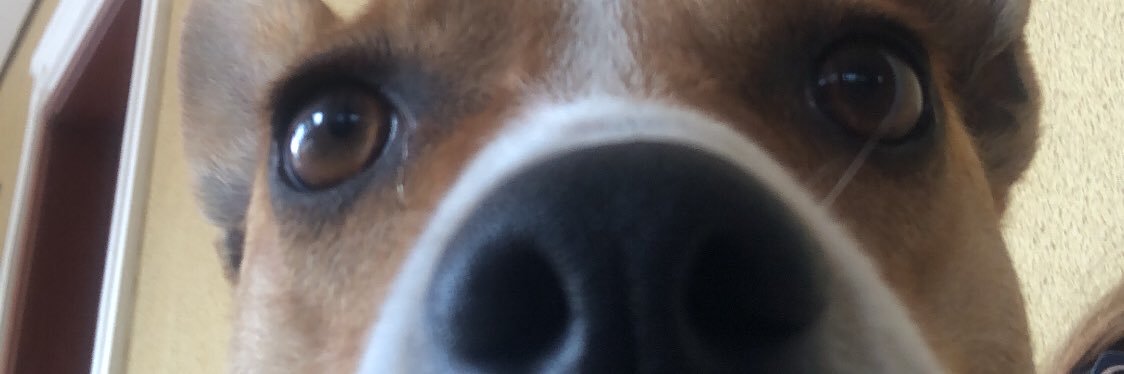 maysa_hrp's profile banner image