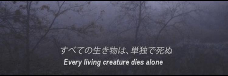 fckamelie's profile banner image