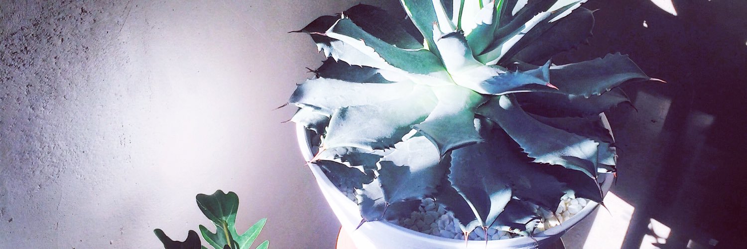 saatoopp's profile banner image