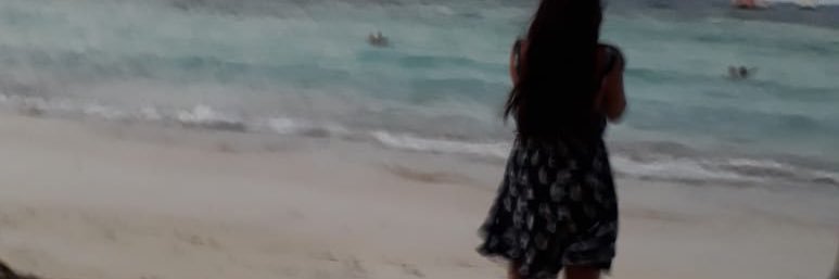 Laura Vergara banner