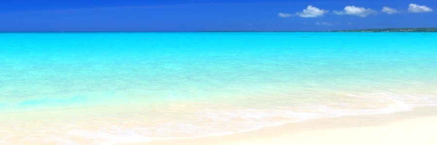 whatsonnickmind's profile banner image