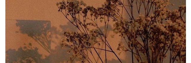 KikaOlvera2's profile banner image