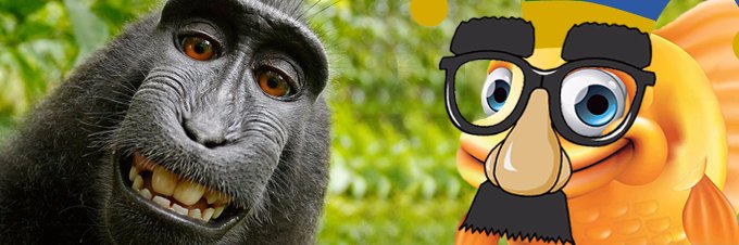 howardthefish's profile banner image